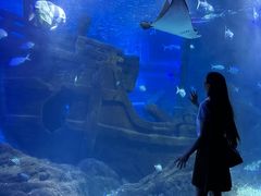-江和美海洋公园