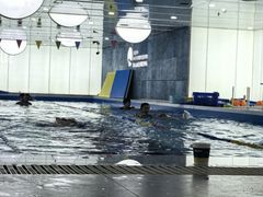 -蓝鲸国际少儿游泳训练中心(群力店)