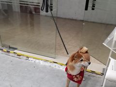 -DEKA大咔摄影·企业形象照·商务形象照拍摄(番禺南村万博店)