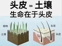 -中国农业大学(西校区)