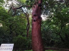 -北陵公园