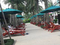 -碧桂园润杨溪谷温泉酒店