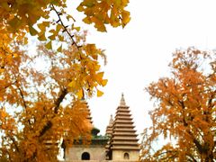 -北京石刻艺术博物馆(五塔寺)