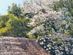 -中国茶叶博物馆(双峰馆区)