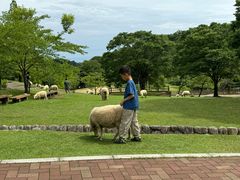 -神户市立六甲山牧场