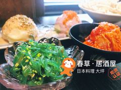 -春草居酒屋·晴子の店