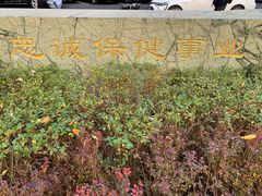 -北京医院