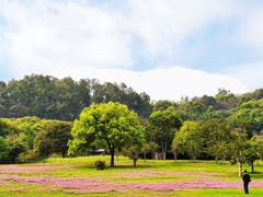 -福建鲤鱼洲酒店