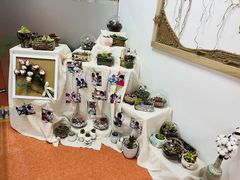 -爱乐恩幼儿园(亦庄园店)