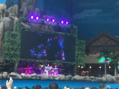 -青岛东方影都融创水世界