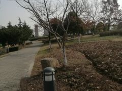 -白塘生态植物园