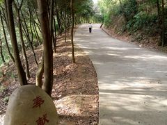 -中山市树木园