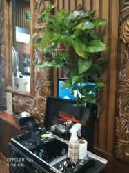 -红人馆造型世爵国际