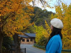 -千年银杏谷文化旅游区