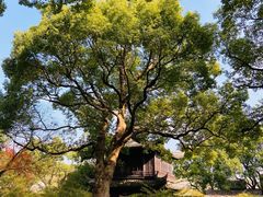 -无锡惠山寺