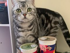 -1点点(798艺术区店)