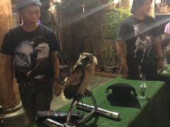 -清迈夜间动物园