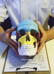 -FACE·日本小颜矫正美容整骨サロン