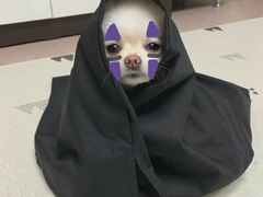 -捞旺猪肚鸡(街道口店)