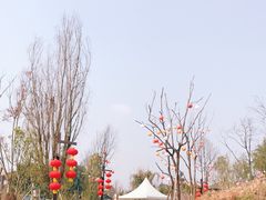 -黄龙溪欢乐田园
