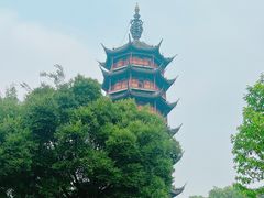 -红梅公园