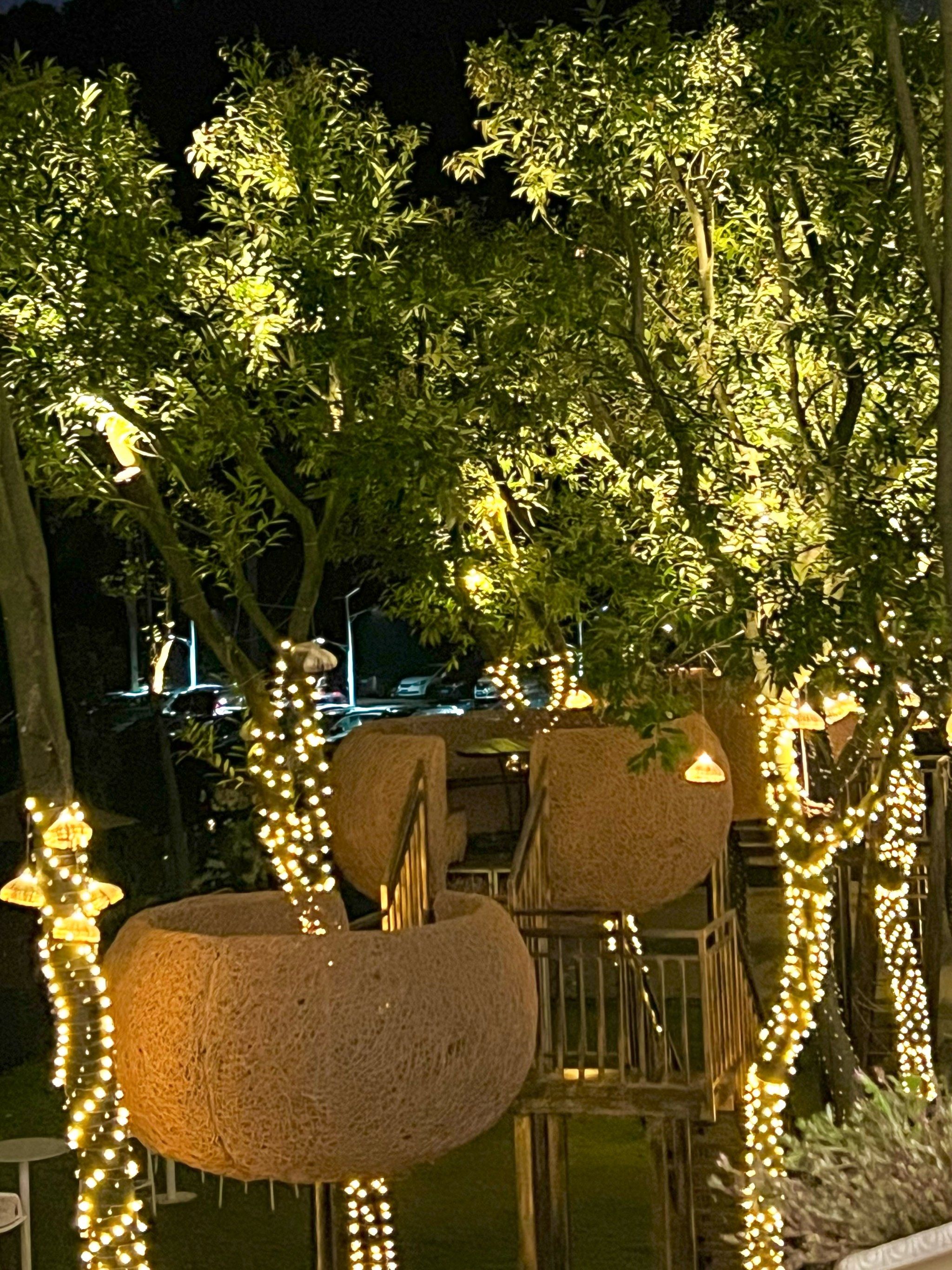 在广州!庄园在逃公主回家吃饭了