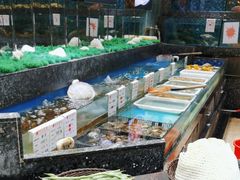 -宝燕壹号(徐汇店)