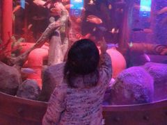 -沈阳海洋探索中心