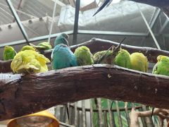 -正佳雨林生态植物园