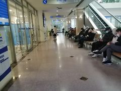 -上海市东方医院(总院)