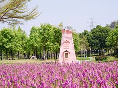 -顺峰山公园