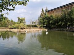 -田园东方蜜桃村的田野营地