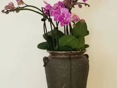-玲珑时光保健会所(天河南路店)