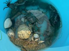 -北海金海湾红树林生态旅游区