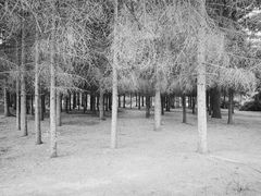 -长春市南湖公园