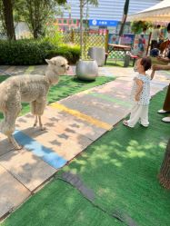 -萌宠亲子动物乐园(槐房万达店)