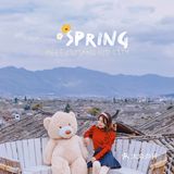 🇨🇳旅行探店｜丽江观景旅拍｛阅古楼空中观景餐厅｝