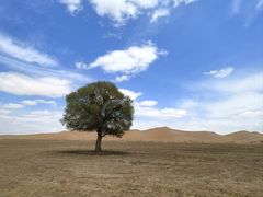 -亿利库布其七星湖沙漠生态旅游区