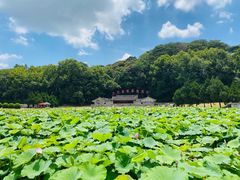 -古田会议纪念馆