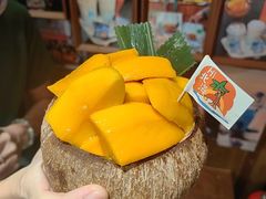 -椰椰大吉(侨港店)