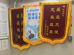 -瑞鹏宠物医院·骨外科·心肾科·肿瘤科(九亭店)