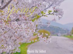 -光福景区