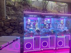 -将军关探险漂流