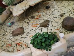 -铜锣湾国际购物中心