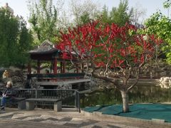 -宣武艺园