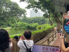 -广州长隆飞鸟乐园