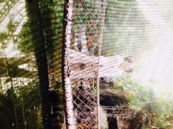 iphone_upload_pic-戛纳印象摄影(潮拍定制馆)