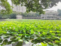 -荔湾湖公园