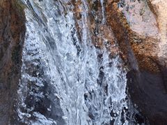 -广州白江湖森林公园