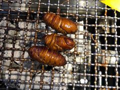 -小团团·路边烤牛肉(南岭壹街店)